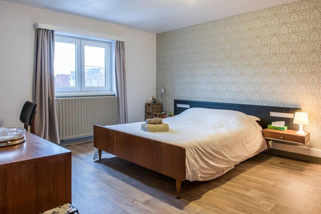 Vakantiewoning In Mol Centrum Met Eigen Bar "Casacuriosa" Ngoại thất bức ảnh